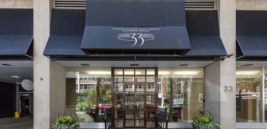 33 E Cedar St APT 10E, Chicago, IL 60611