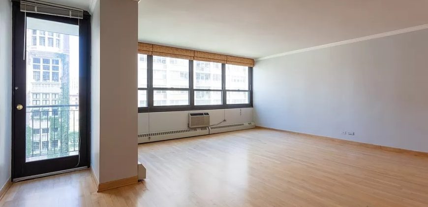 33 E Cedar St APT 10E, Chicago, IL 60611