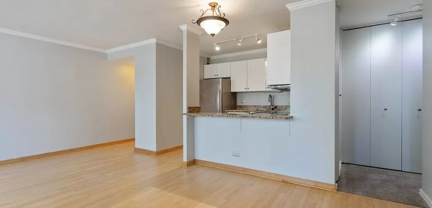 33 E Cedar St APT 10E, Chicago, IL 60611