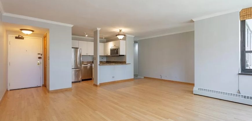 33 E Cedar St APT 10E, Chicago, IL 60611