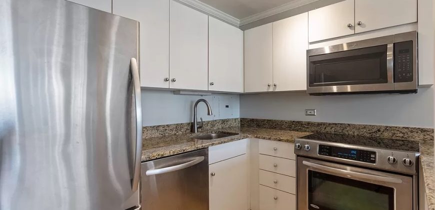 33 E Cedar St APT 10E, Chicago, IL 60611