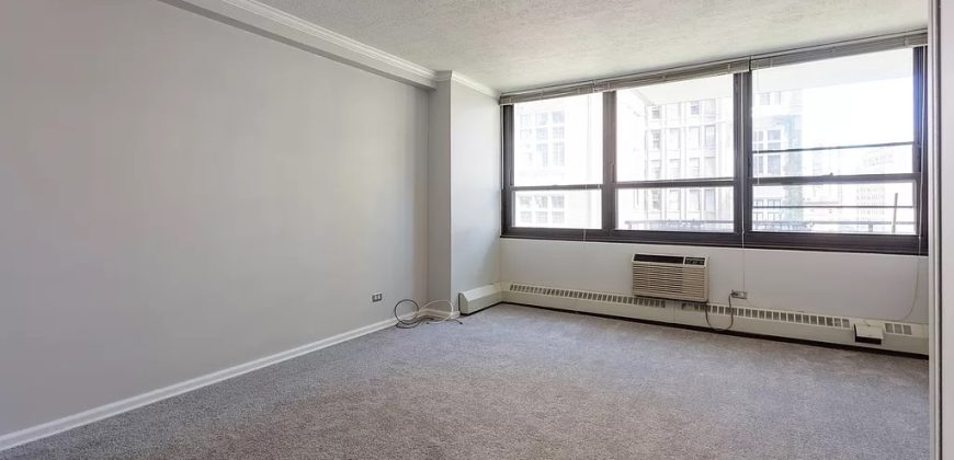 33 E Cedar St APT 10E, Chicago, IL 60611