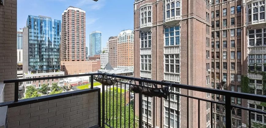 33 E Cedar St APT 10E, Chicago, IL 60611