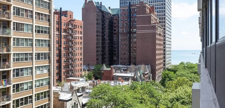 33 E Cedar St APT 10E, Chicago, IL 60611