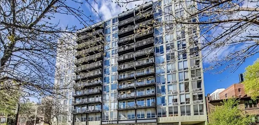 450 W Briar Pl APT 12E, Chicago, IL 60657