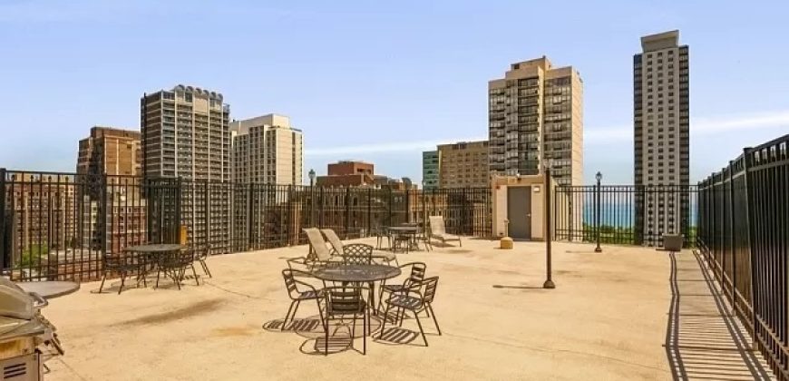 450 W Briar Pl APT 12E, Chicago, IL 60657