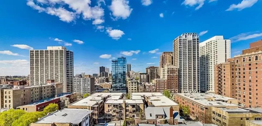 450 W Briar Pl APT 12E, Chicago, IL 60657