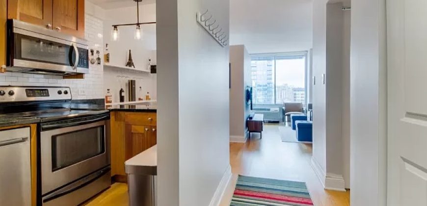 450 W Briar Pl APT 12E, Chicago, IL 60657