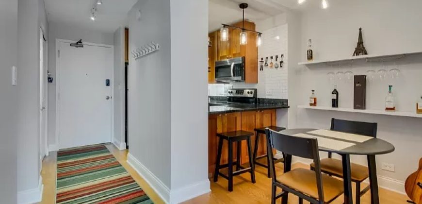 450 W Briar Pl APT 12E, Chicago, IL 60657