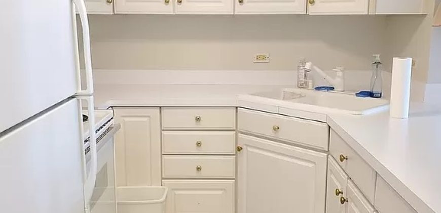 777 N Michigan Ave APT 1708, Chicago, IL 60611