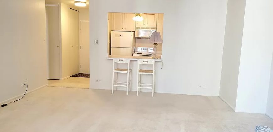 777 N Michigan Ave APT 1708, Chicago, IL 60611