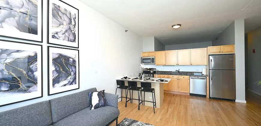 1720 S Michigan Ave APT 3103, Chicago, IL 60616