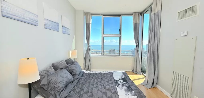 1720 S Michigan Ave APT 3103, Chicago, IL 60616