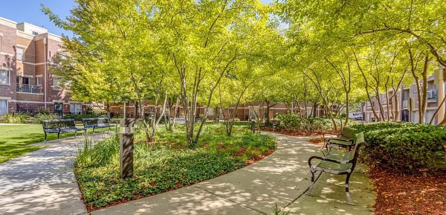 4108 Maryland Ave, Chicago, IL 60653